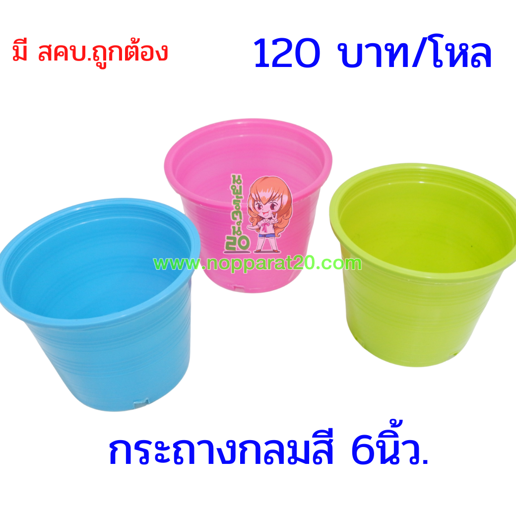 ขายส่งทุกอย่าง20,ทุกอย่าง20,ขายส่ง20,นพรัตน์20,แฟรนไชต์20,แฟรนไชส์20