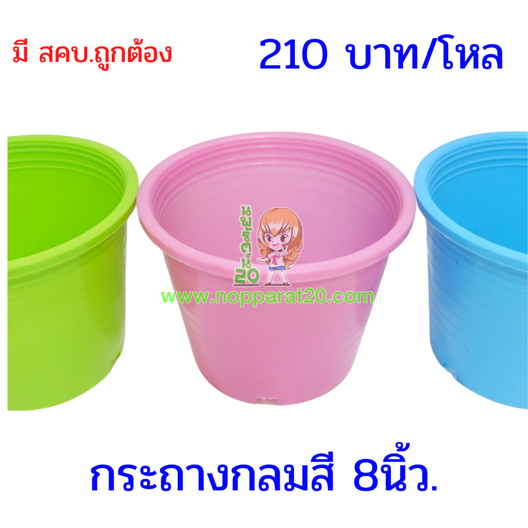 ขายส่งทุกอย่าง20,ทุกอย่าง20,ขายส่ง20,นพรัตน์20,แฟรนไชต์20,แฟรนไชส์20