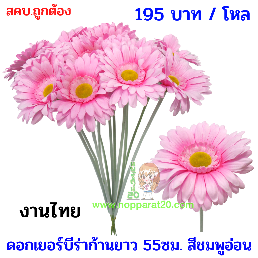 ขายส่งทุกอย่าง20,ทุกอย่าง20,ขายส่ง20,นพรัตน์20,แฟรนไชต์20,แฟรนไชส์20