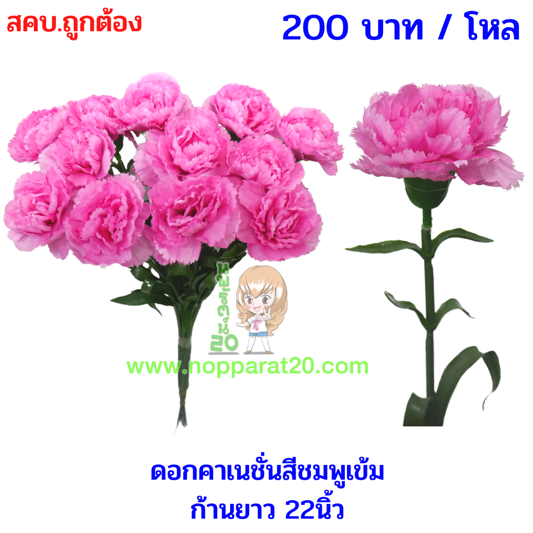 ขายส่งทุกอย่าง20,ทุกอย่าง20,ขายส่ง20,นพรัตน์20,แฟรนไชต์20,แฟรนไชส์20
