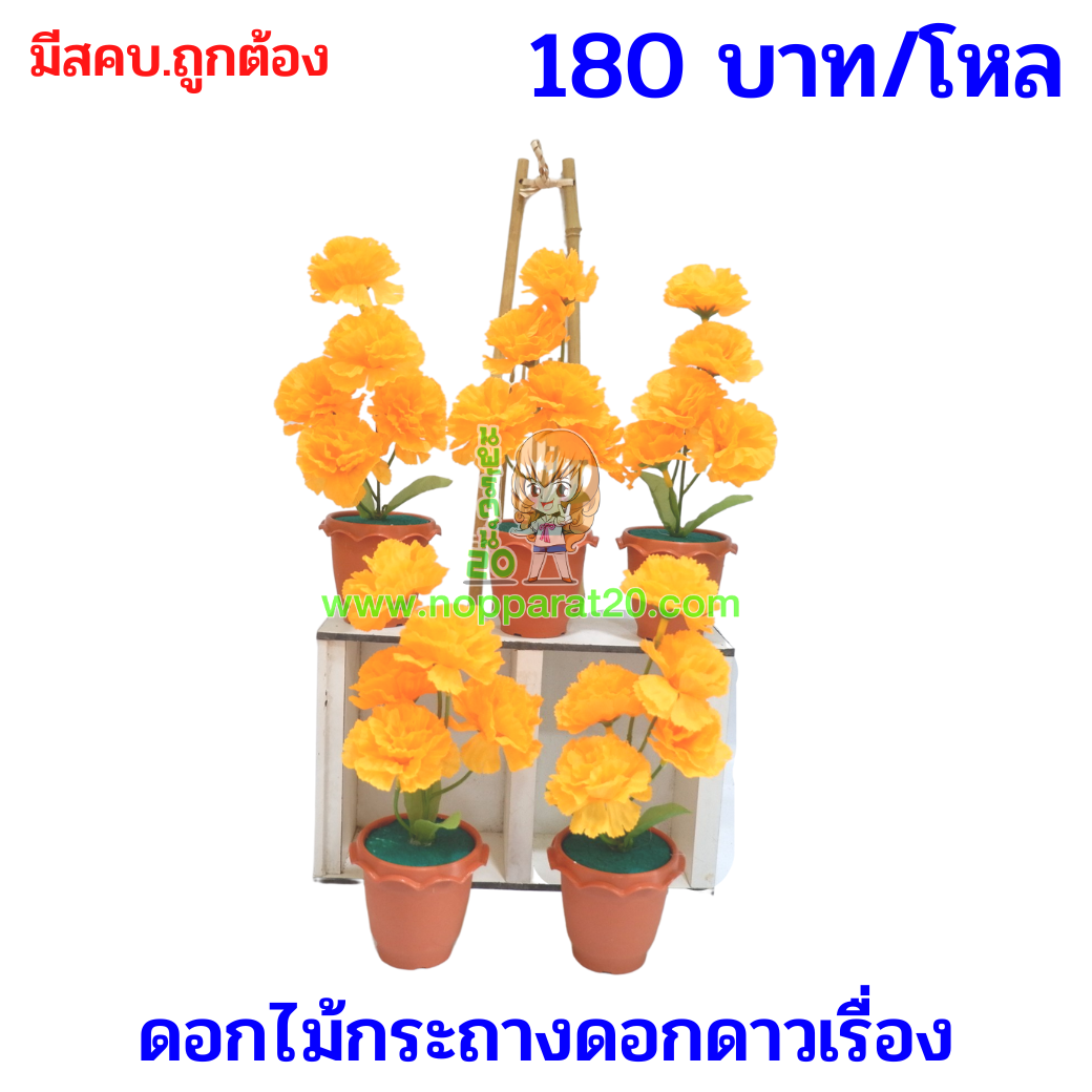 ขายส่งทุกอย่าง20,ทุกอย่าง20,ขายส่ง20,นพรัตน์20,แฟรนไชต์20,แฟรนไชส์20