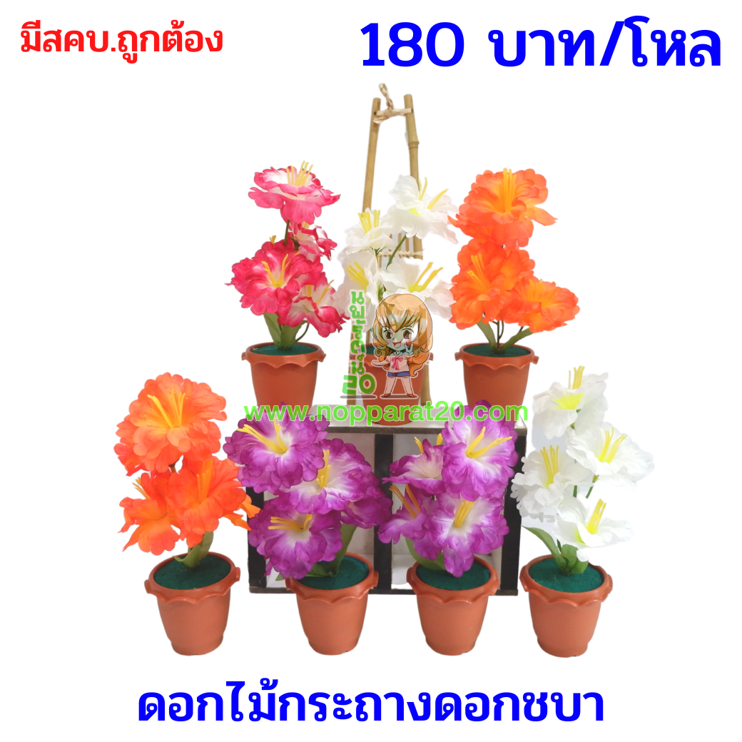ขายส่งทุกอย่าง20,ทุกอย่าง20,ขายส่ง20,นพรัตน์20,แฟรนไชต์20,แฟรนไชส์20