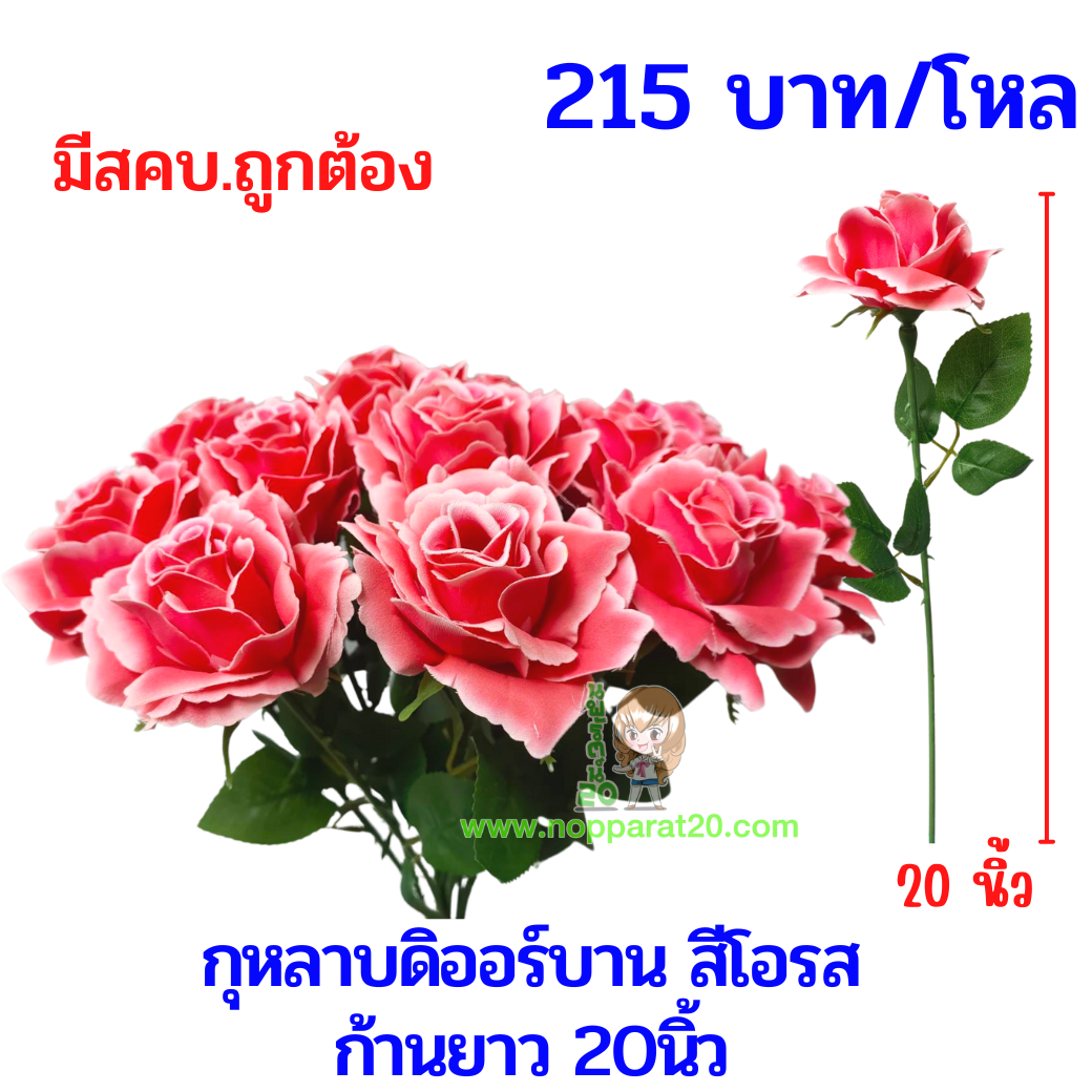 ขายส่งทุกอย่าง20,ทุกอย่าง20,ขายส่ง20,นพรัตน์20,แฟรนไชต์20,แฟรนไชส์20