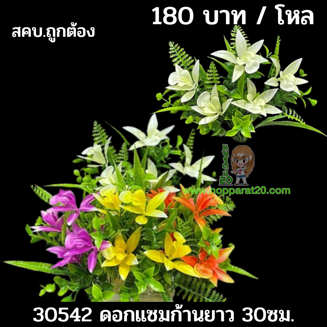 ขายส่งทุกอย่าง20,ทุกอย่าง20,ขายส่ง20,นพรัตน์20,แฟรนไชต์20,แฟรนไชส์20