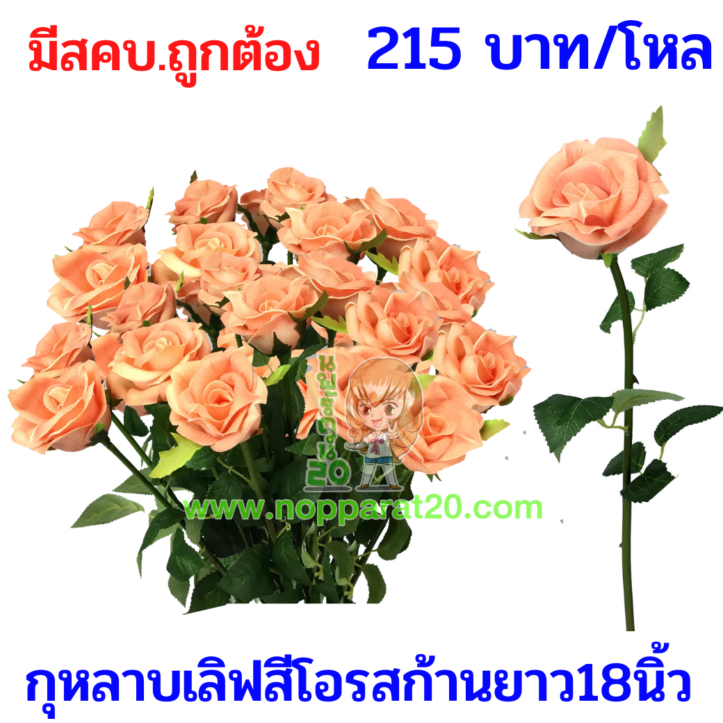 ขายส่งทุกอย่าง20,ทุกอย่าง20,ขายส่ง20,นพรัตน์20,แฟรนไชต์20,แฟรนไชส์20