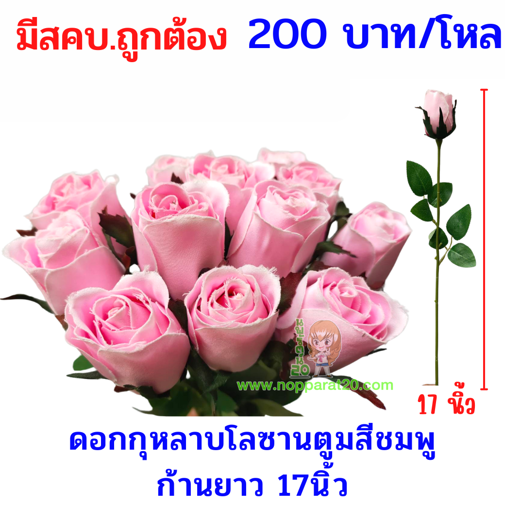 ขายส่งทุกอย่าง20,ทุกอย่าง20,ขายส่ง20,นพรัตน์20,แฟรนไชต์20,แฟรนไชส์20