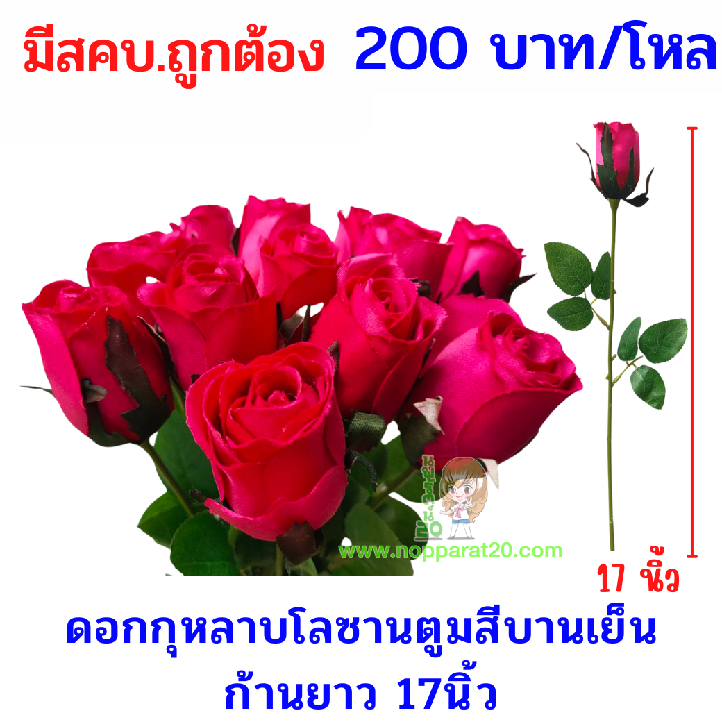 ขายส่งทุกอย่าง20,ทุกอย่าง20,ขายส่ง20,นพรัตน์20,แฟรนไชต์20,แฟรนไชส์20