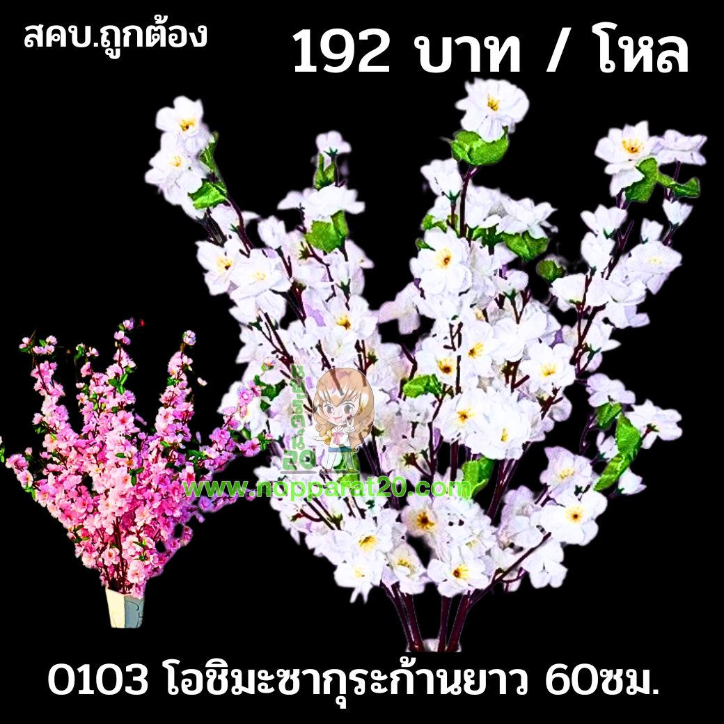 ขายส่งทุกอย่าง20,ทุกอย่าง20,ขายส่ง20,นพรัตน์20,แฟรนไชต์20,แฟรนไชส์20