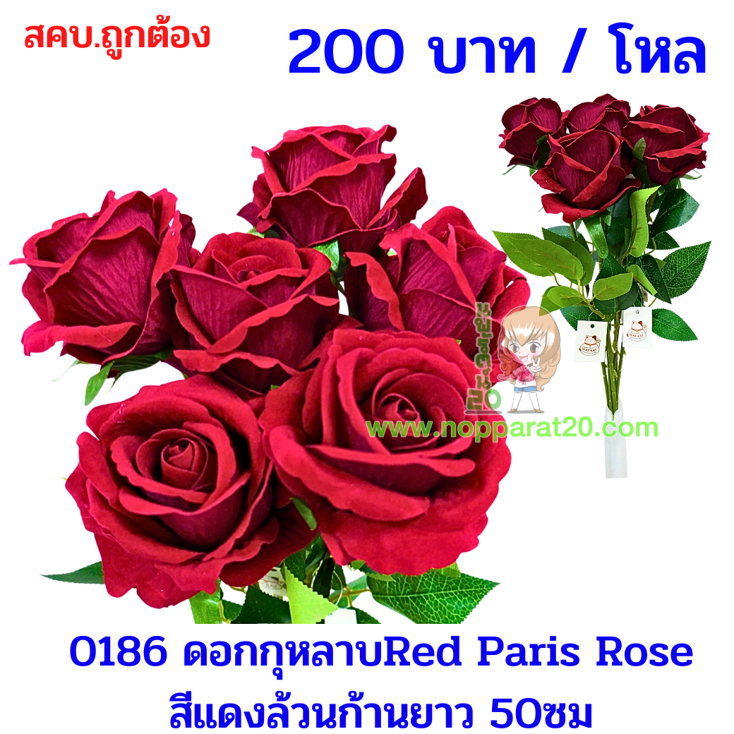 ขายส่งทุกอย่าง20,ทุกอย่าง20,ขายส่ง20,นพรัตน์20,แฟรนไชต์20,แฟรนไชส์20
