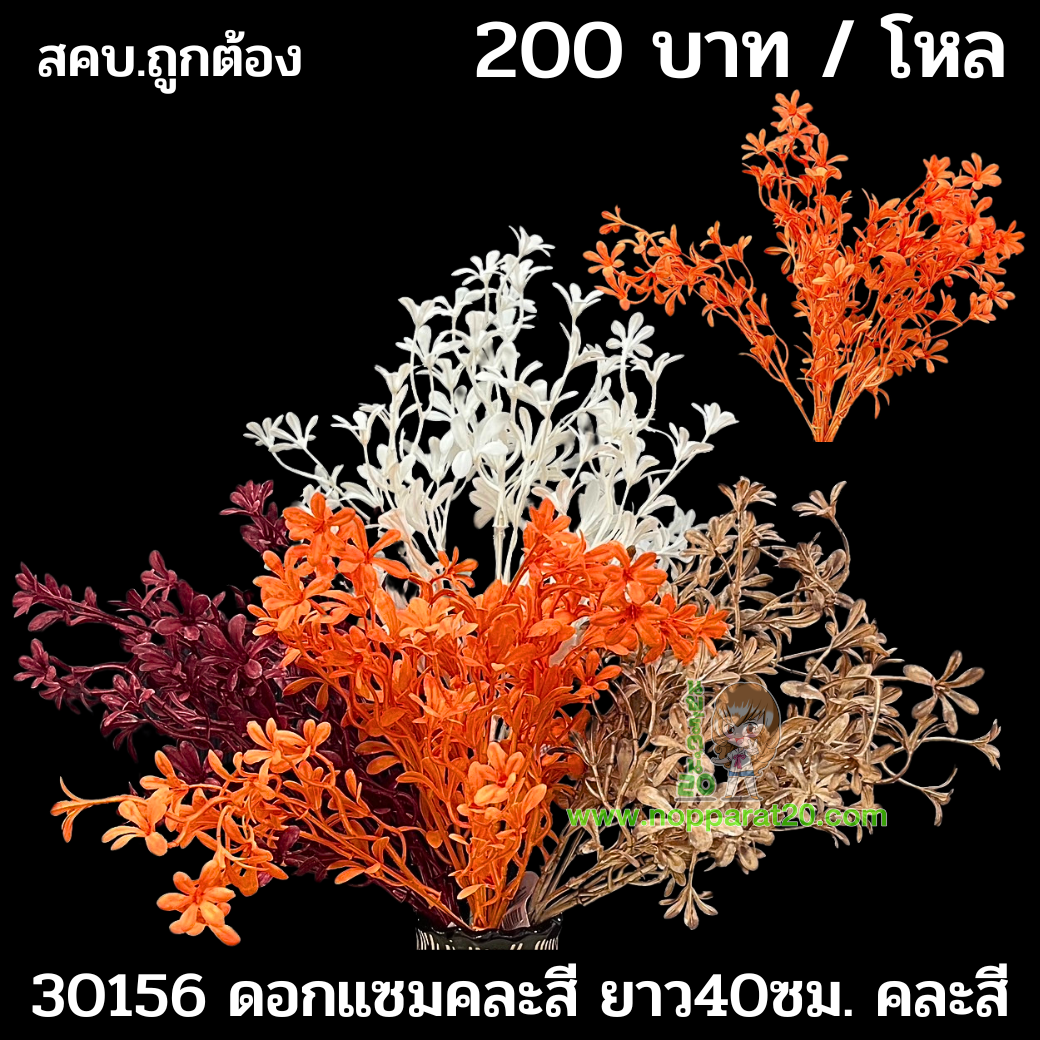 ขายส่งทุกอย่าง20,ทุกอย่าง20,ขายส่ง20,นพรัตน์20,แฟรนไชต์20,แฟรนไชส์20