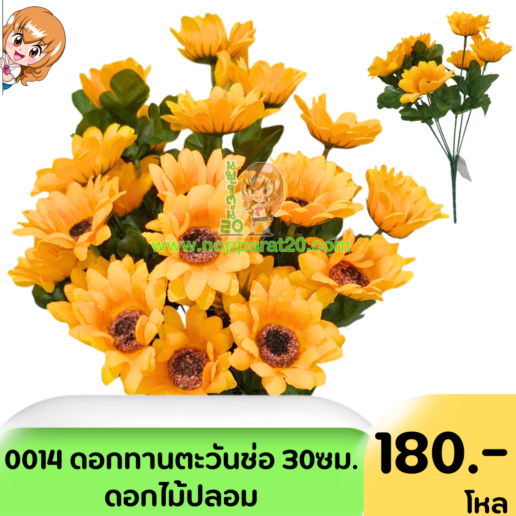 ขายส่งทุกอย่าง20,ทุกอย่าง20,ขายส่ง20,นพรัตน์20,แฟรนไชต์20,แฟรนไชส์20