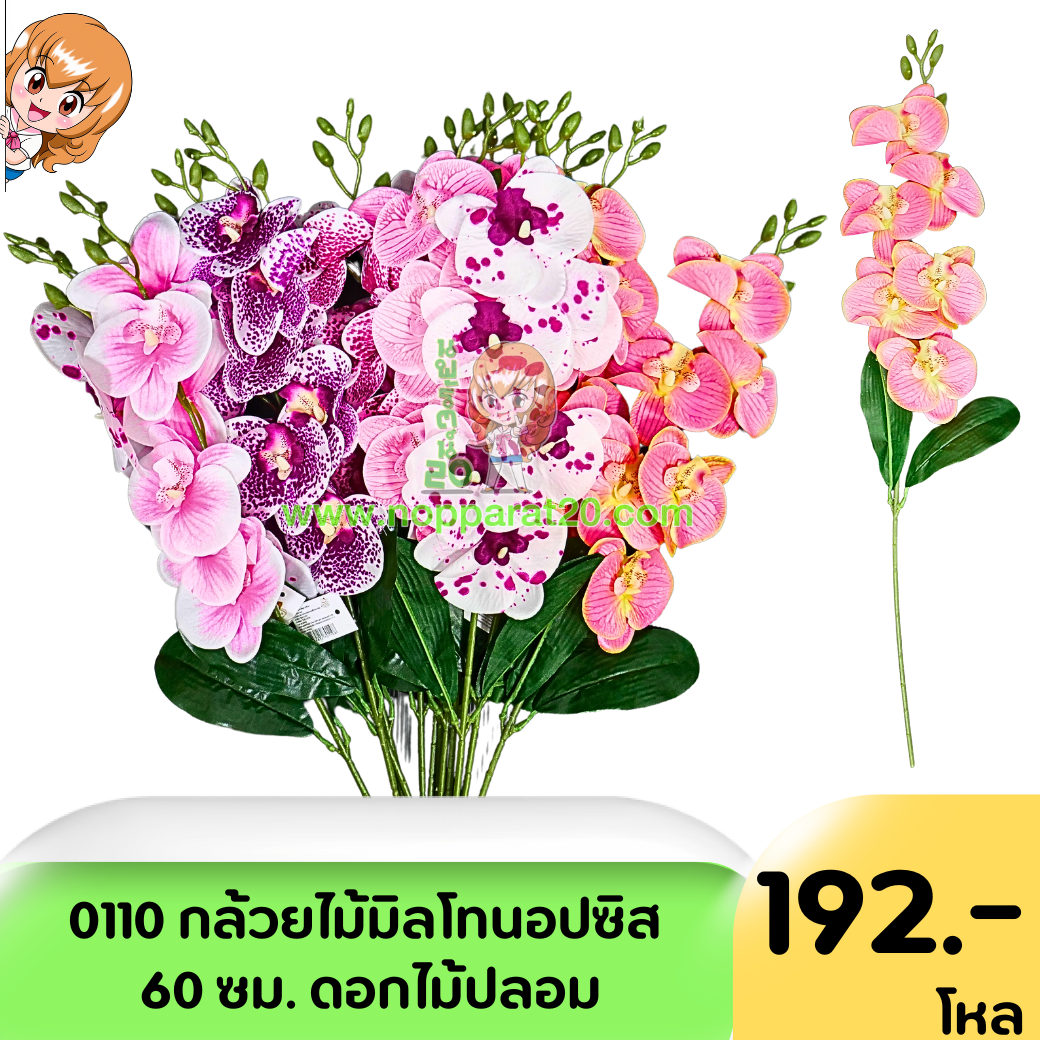 ขายส่งทุกอย่าง20,ทุกอย่าง20,ขายส่ง20,นพรัตน์20,แฟรนไชต์20,แฟรนไชส์20