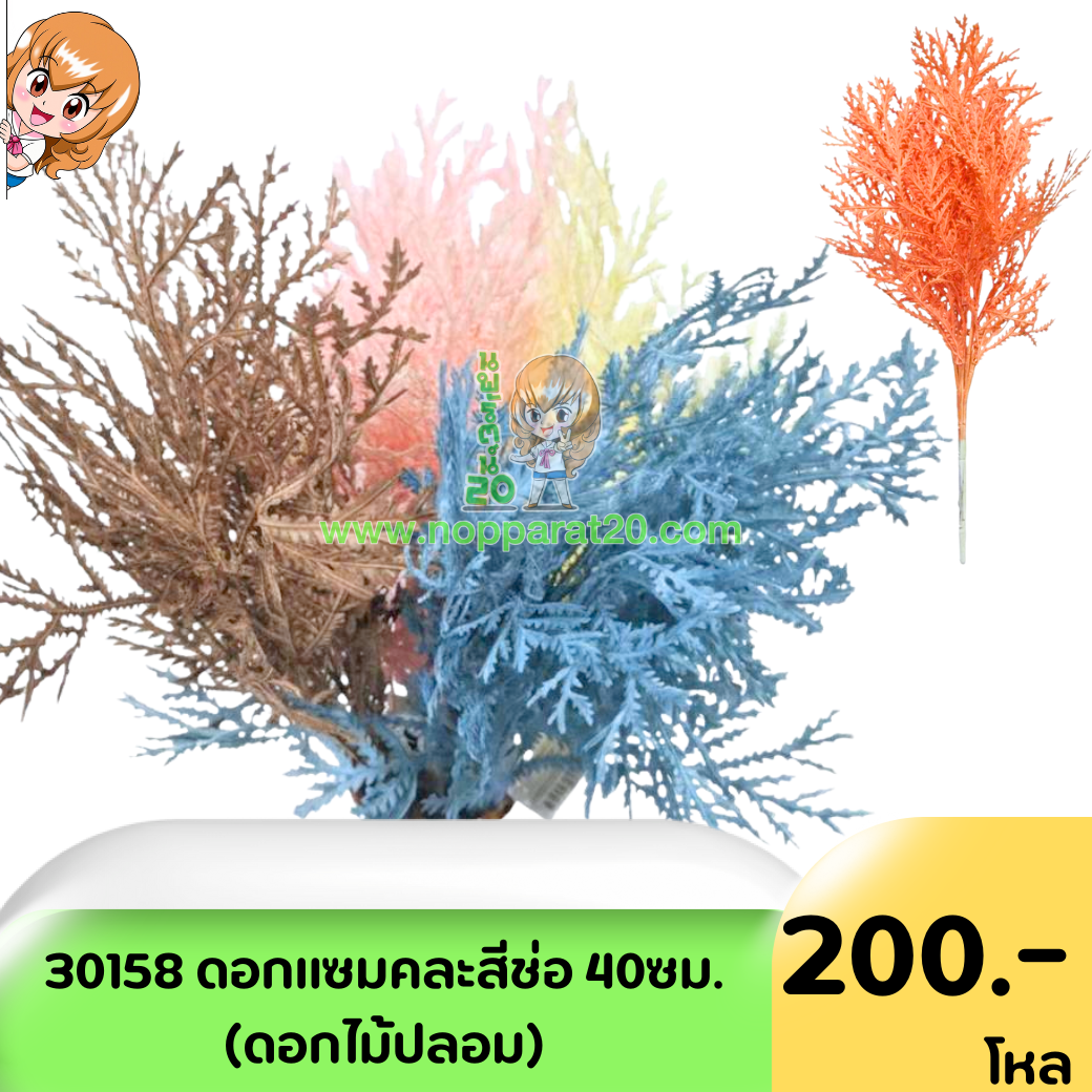 ขายส่งทุกอย่าง20,ทุกอย่าง20,ขายส่ง20,นพรัตน์20,แฟรนไชต์20,แฟรนไชส์20