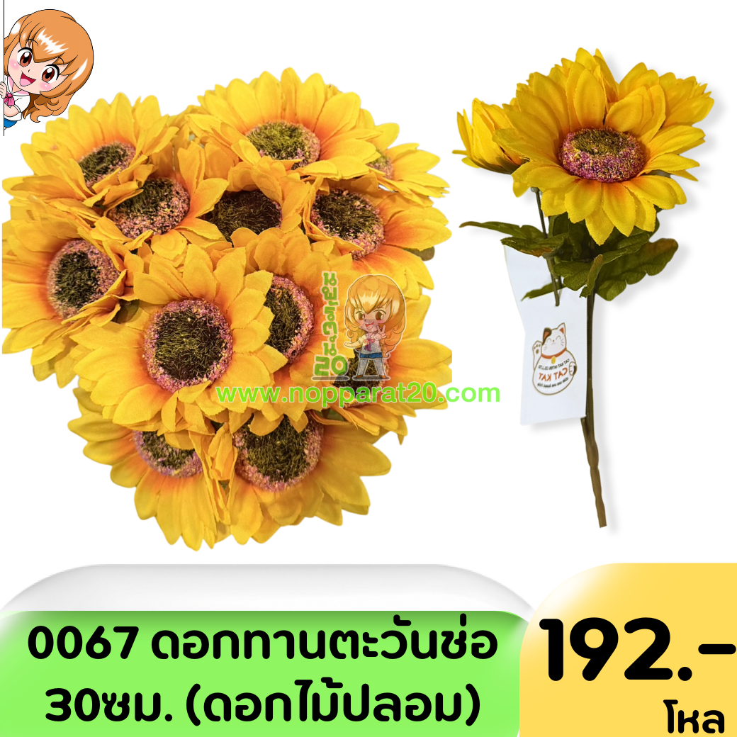 ขายส่งทุกอย่าง20,ทุกอย่าง20,ขายส่ง20,นพรัตน์20,แฟรนไชต์20,แฟรนไชส์20