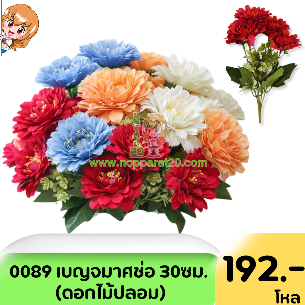 ขายส่งทุกอย่าง20,ทุกอย่าง20,ขายส่ง20,นพรัตน์20,แฟรนไชต์20,แฟรนไชส์20