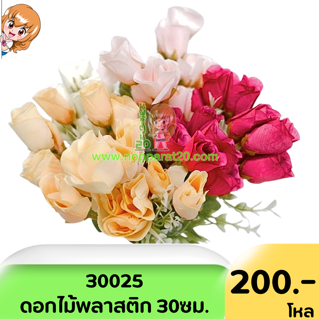 ขายส่งทุกอย่าง20,ทุกอย่าง20,ขายส่ง20,นพรัตน์20,แฟรนไชต์20,แฟรนไชส์20